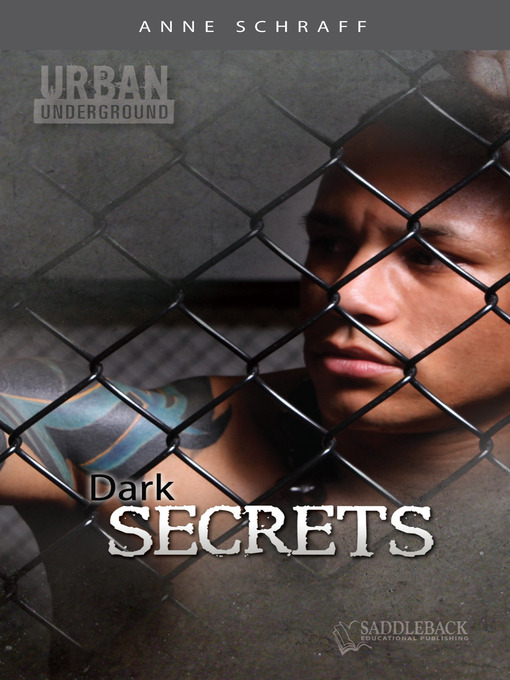 Title details for Dark Secrets by Anne Schraff - Available